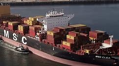 国际海运知识揭秘：已装船提单与备运装船提单有何不同？