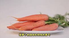 胡萝卜和红萝卜的区别？分别介绍外观、口感、营养成分以及用途